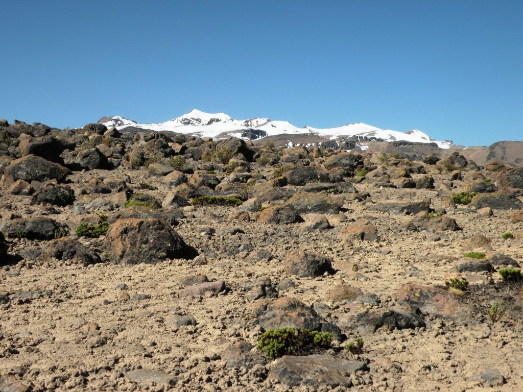 figura 26